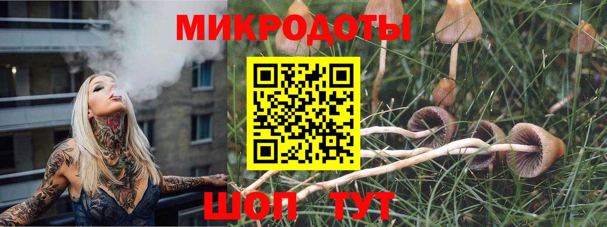Галлюциногенные грибы Psilocybine cubensis Новошахтинск